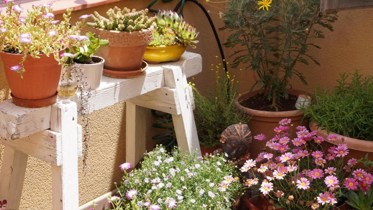 Casa Las 2 Salchichas Bocairent Zewnętrze zdjęcie